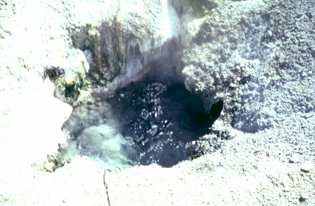 Yellowstone Image View - Yellowstone Research Coordination Network