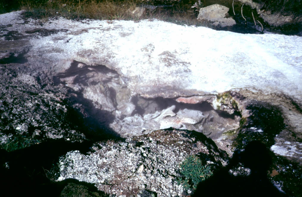 Yellowstone Image View - Yellowstone Research Coordination Network