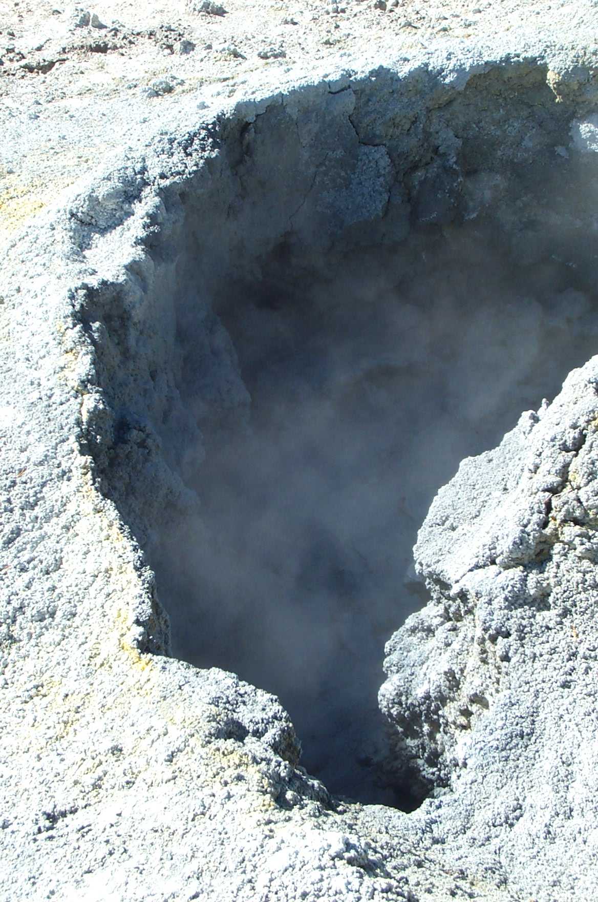Yellowstone Image View - Yellowstone Research Coordination Network