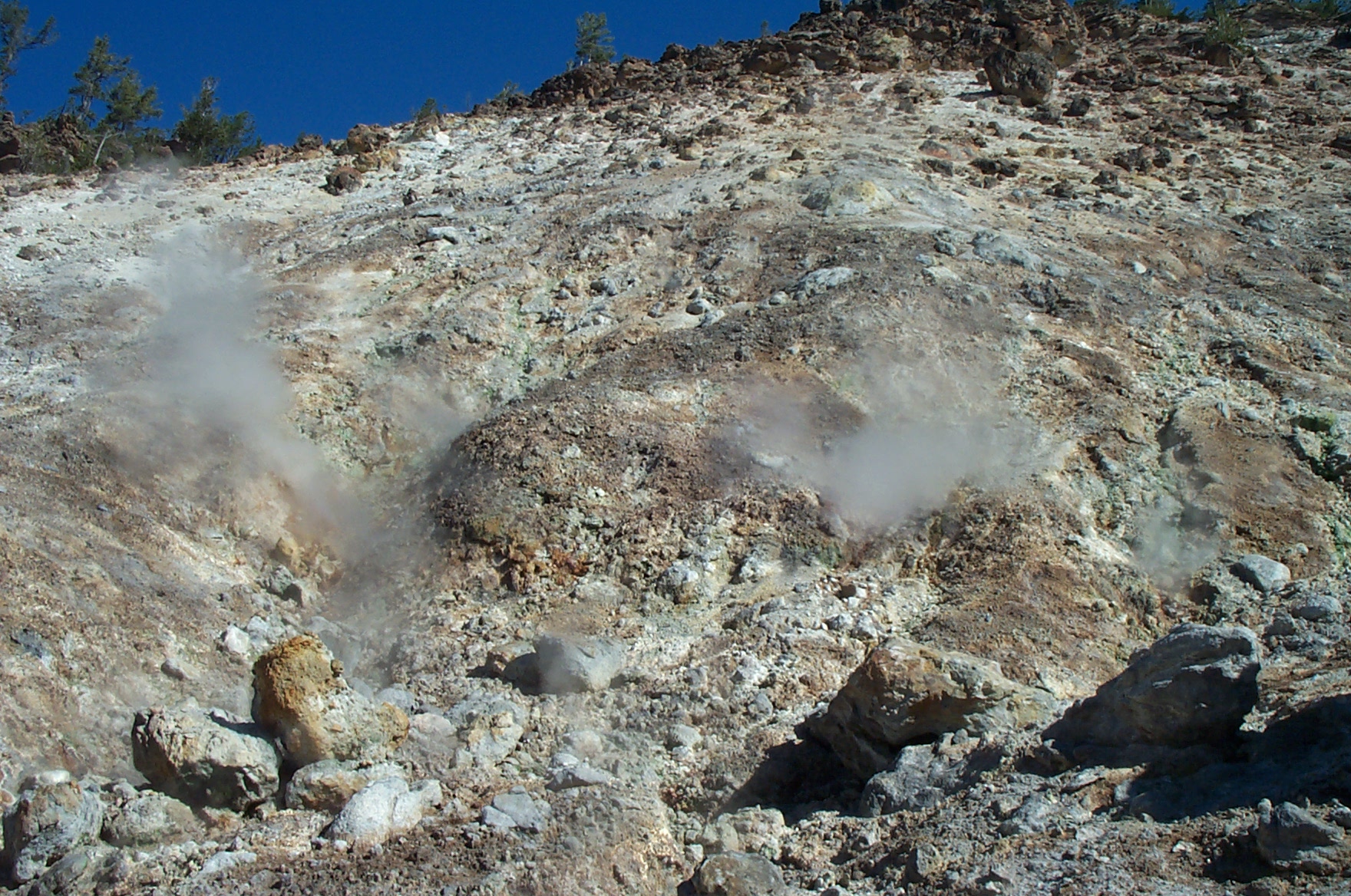 Yellowstone Image View - Yellowstone Research Coordination Network