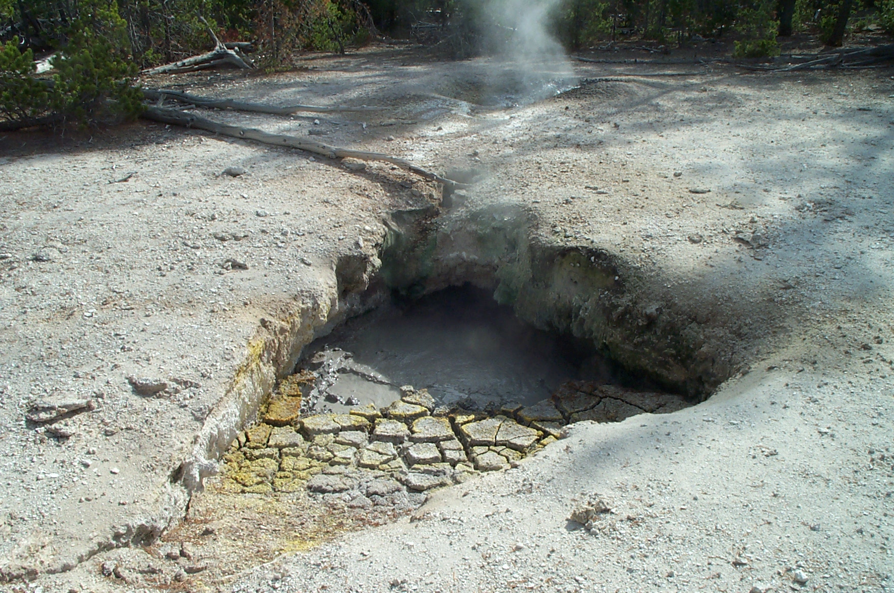 Clean Spring Surf Surf Spring* Details - Yellowstone Research Coordination Network