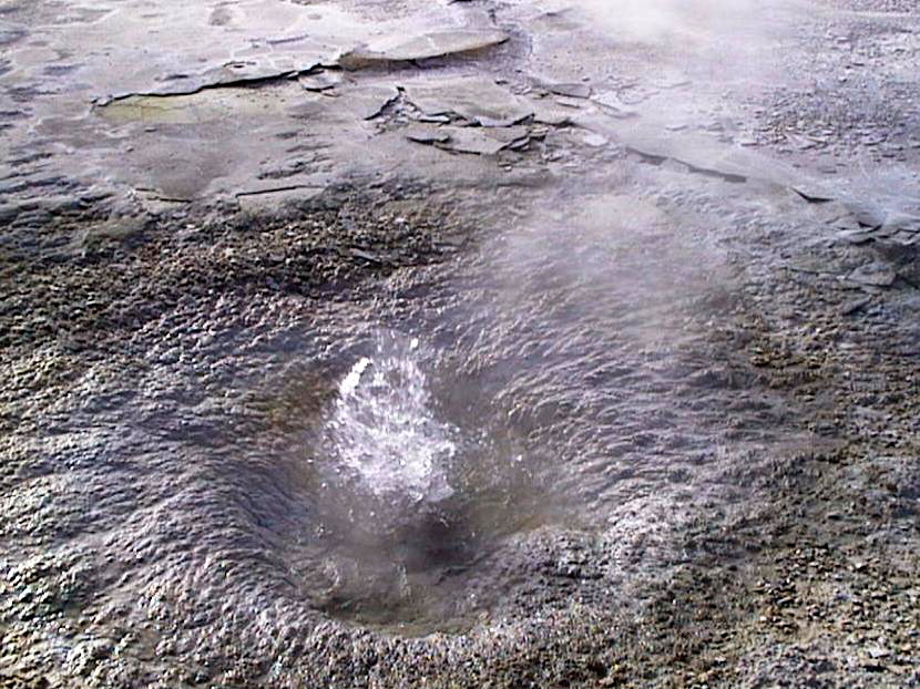 Iris Spring Details - Yellowstone Research Coordination Network