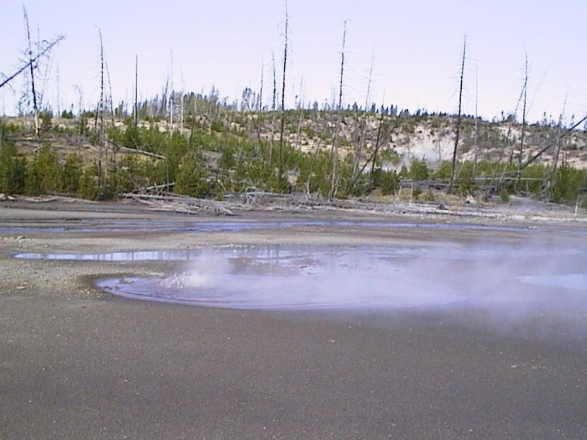 NBBNN033 Details - Yellowstone Research Coordination Network