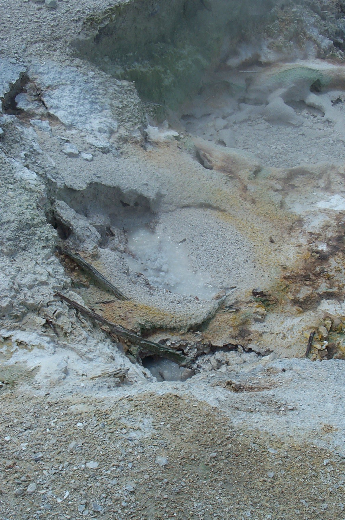 Yellowstone Image View - Yellowstone Research Coordination Network
