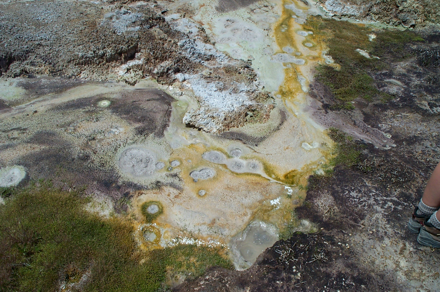 Yellowstone Image View - Yellowstone Research Coordination Network