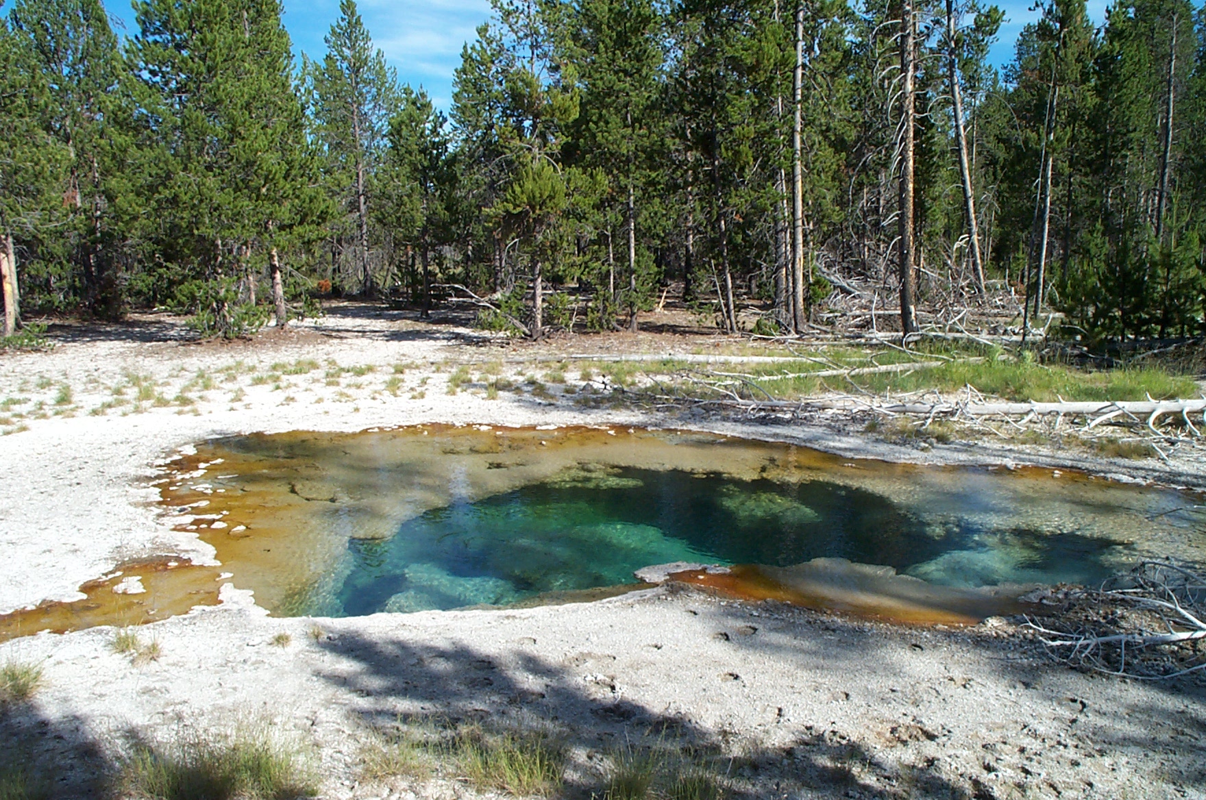 Yellowstone Image View - Yellowstone Research Coordination Network