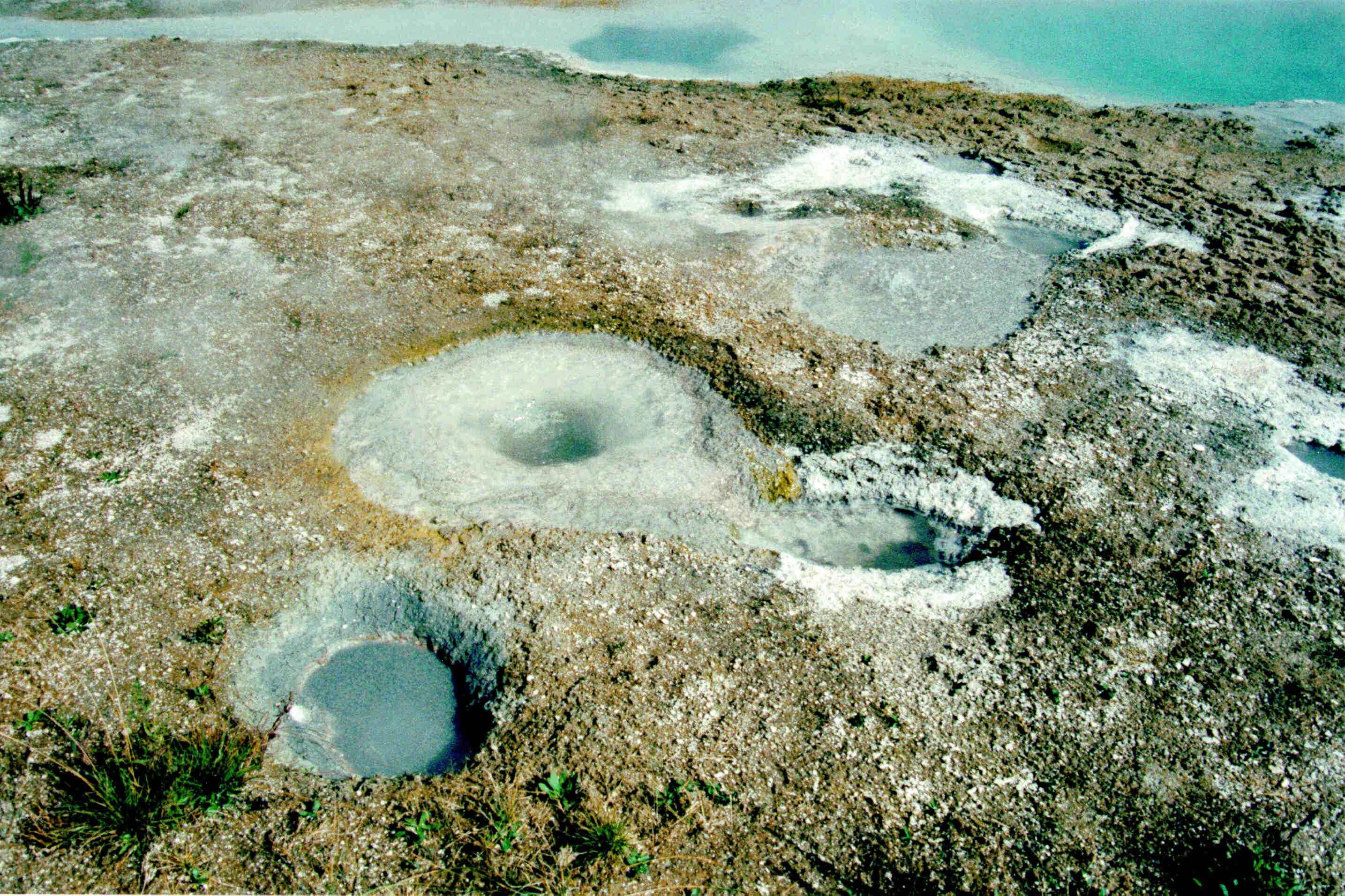 Yellowstone Image View - Yellowstone Research Coordination Network
